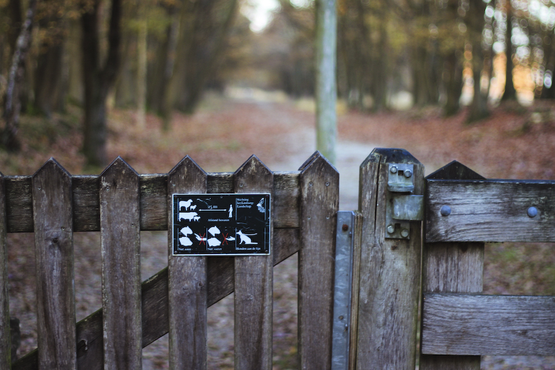 De Hamert Masduinen Niederlande Arcen