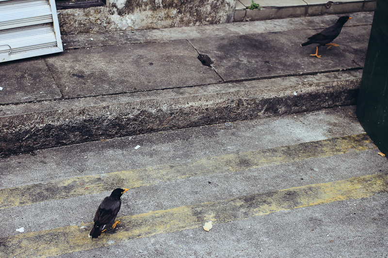 Kampong Glam singapore