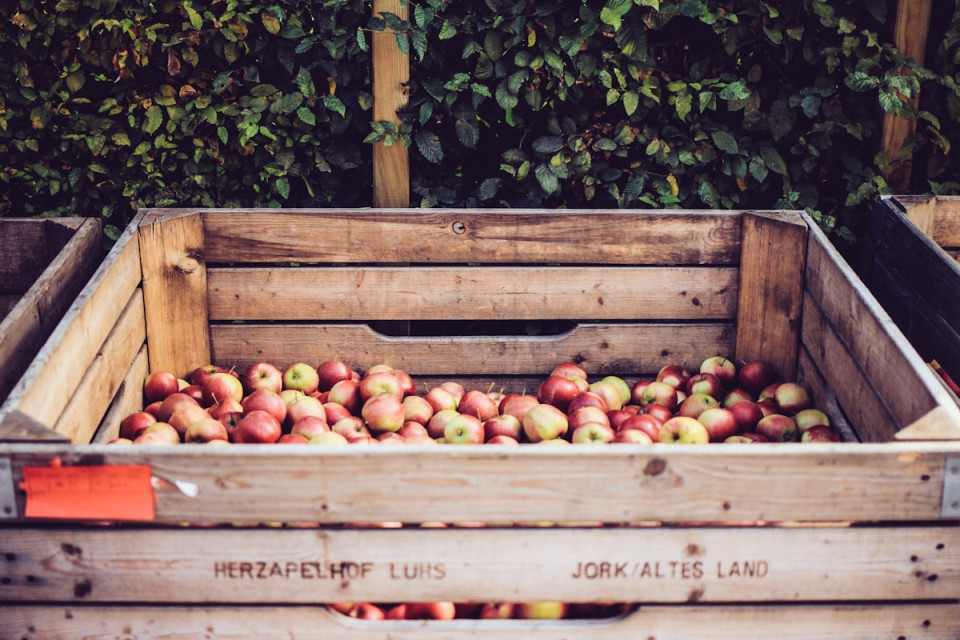 Apfel Rezepte Apfelsuppe Äpfel