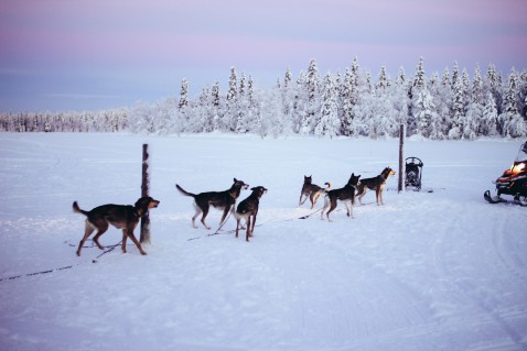 Lappland-Smaracuja-33