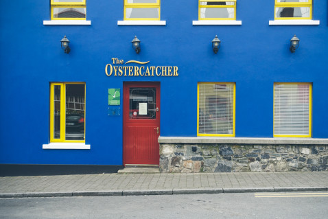 Carlingford Irland Austern