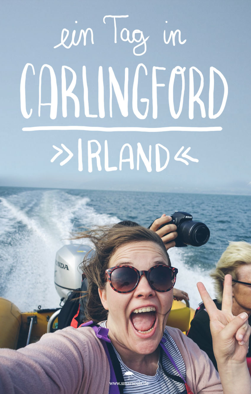 Warum Carlingford an Irlands Ostküste unbedingt einen Stopp auf eurem Road Trip wert ist - Mit Leprechauns, Speedboat Spaß und Austern