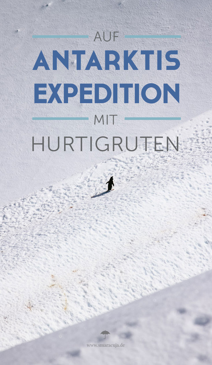 Mit dem Postschiff von Hurtigruten auf Expedition an den siebten Kontinent: Die Antarktis