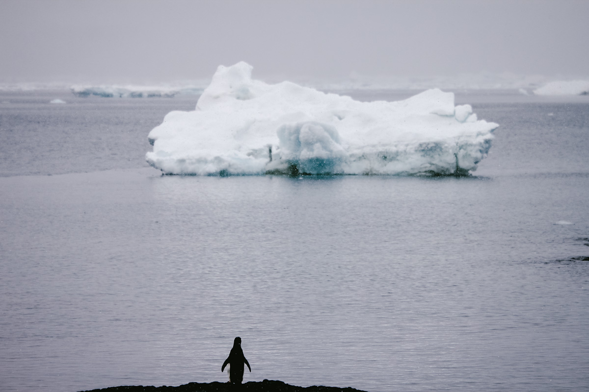 Antarktis Expedition – Eine Reise ins Land der tausend Tränen