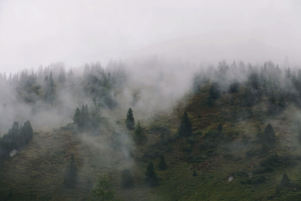 Herbst Bucket List Nebel Österreich