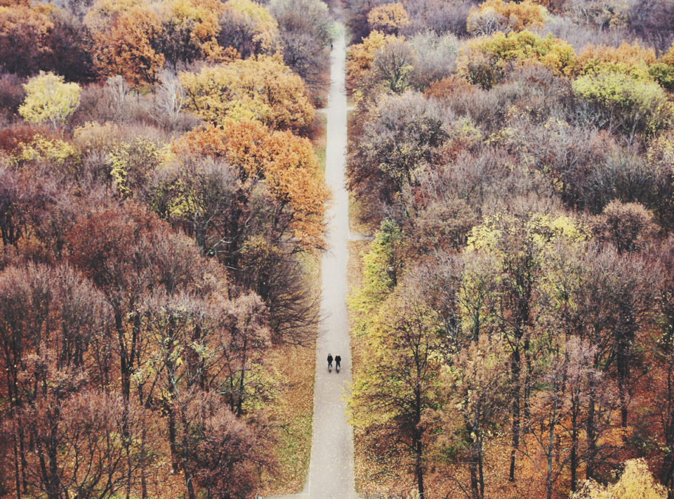 Herbst Bucket List Tiergarten