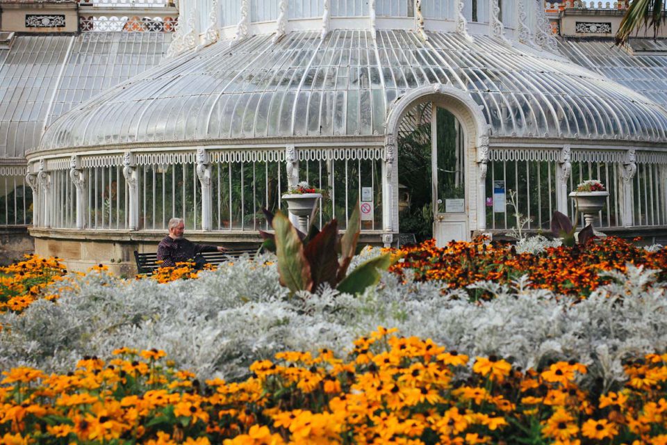 Belfast Tipps Städtereise Botanic Gardens