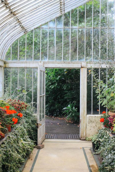 Belfast Tipps Städtereise Botanic Gardens