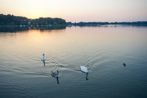 Hausboot Mecklenburgische Seenplatte Sonnenuntergang Schwäne