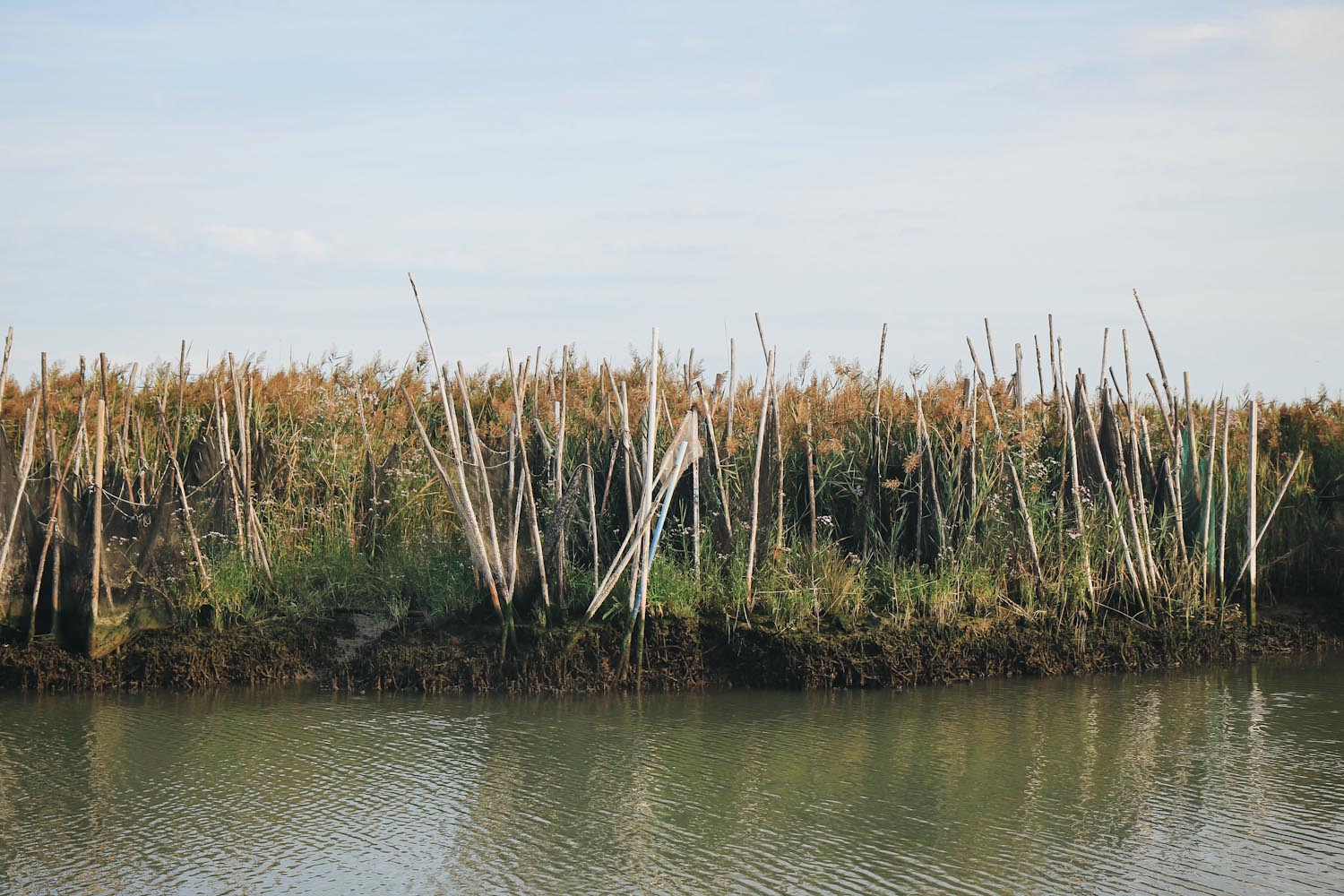 Podelta Veneto Emilia Romagna Nationalpark