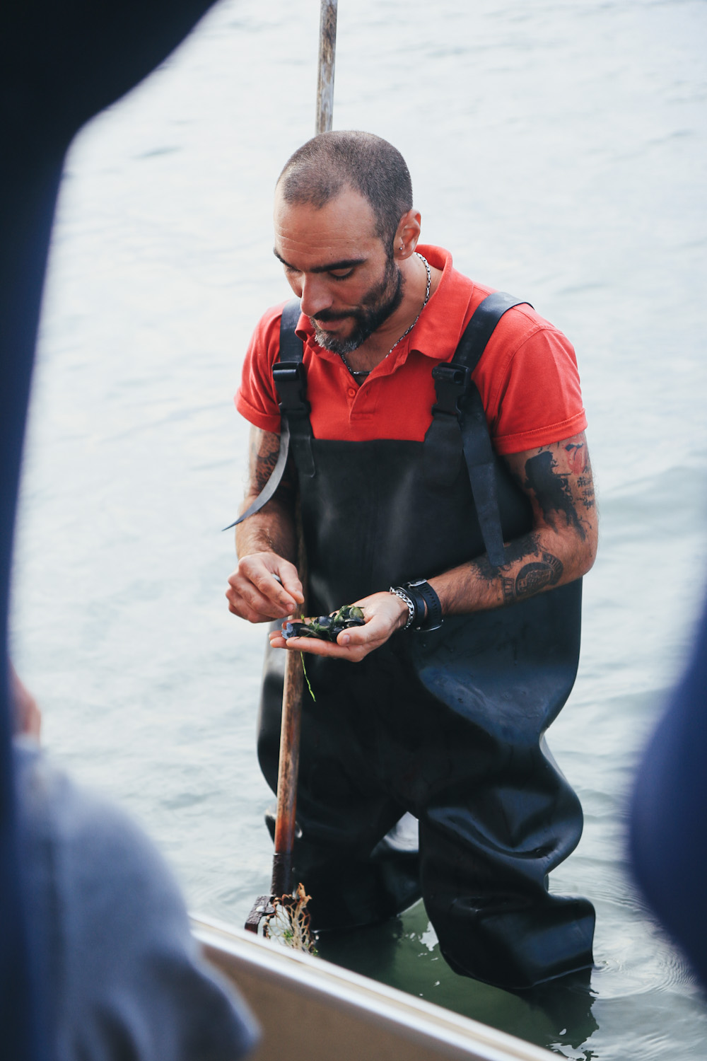 Muschel fischen Podelta Italien Emilia Romagna 2