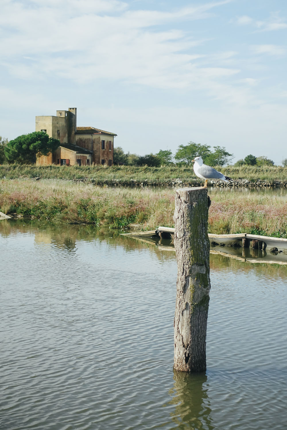 Podelta Nationalpark UNESCO Radtour Bootstour