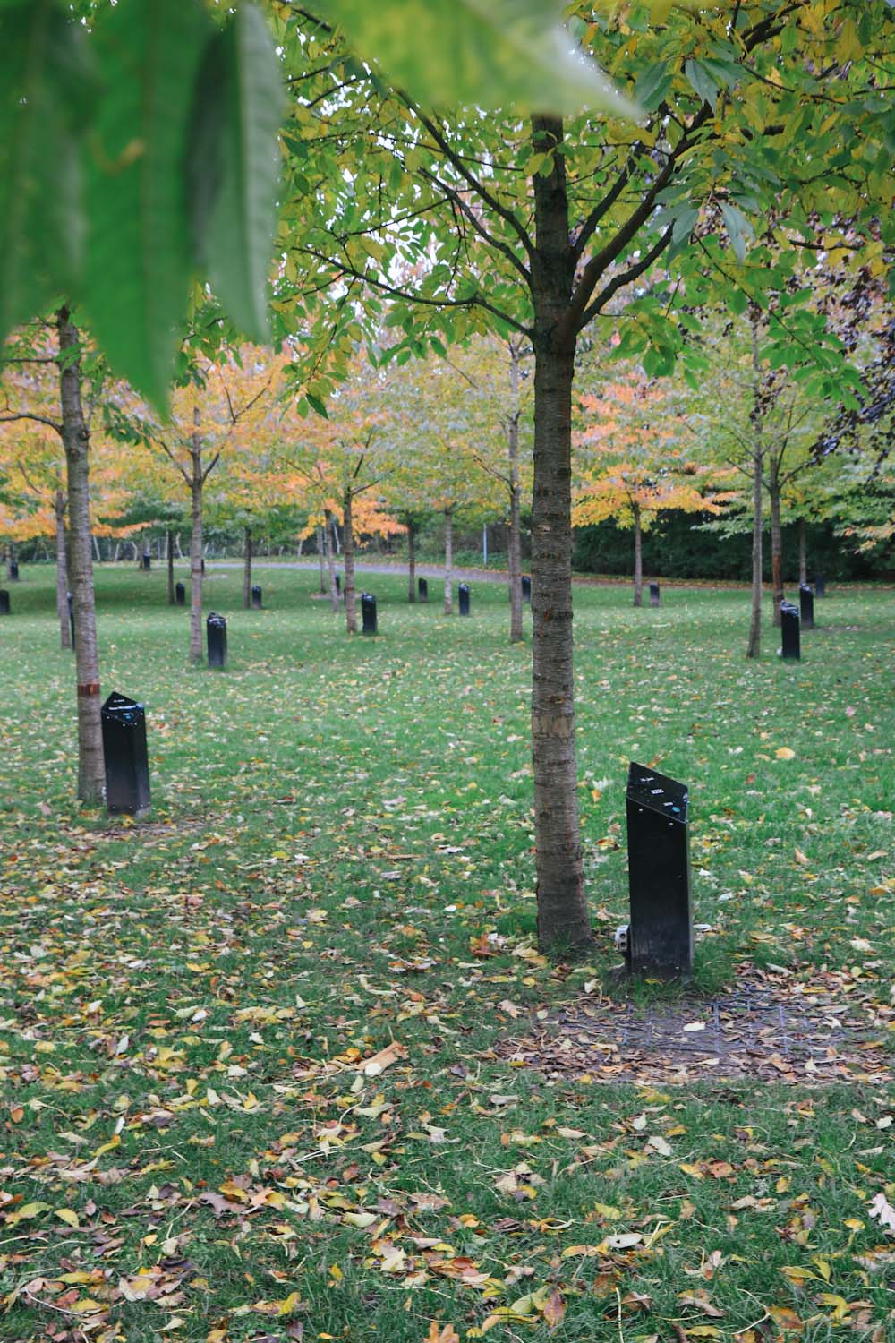 Aalborg Singing Trees singende Bäume Park Dänemark