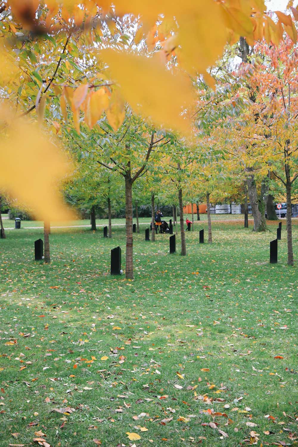 Aalborg Singing Trees singende Bäume Park Dänemark