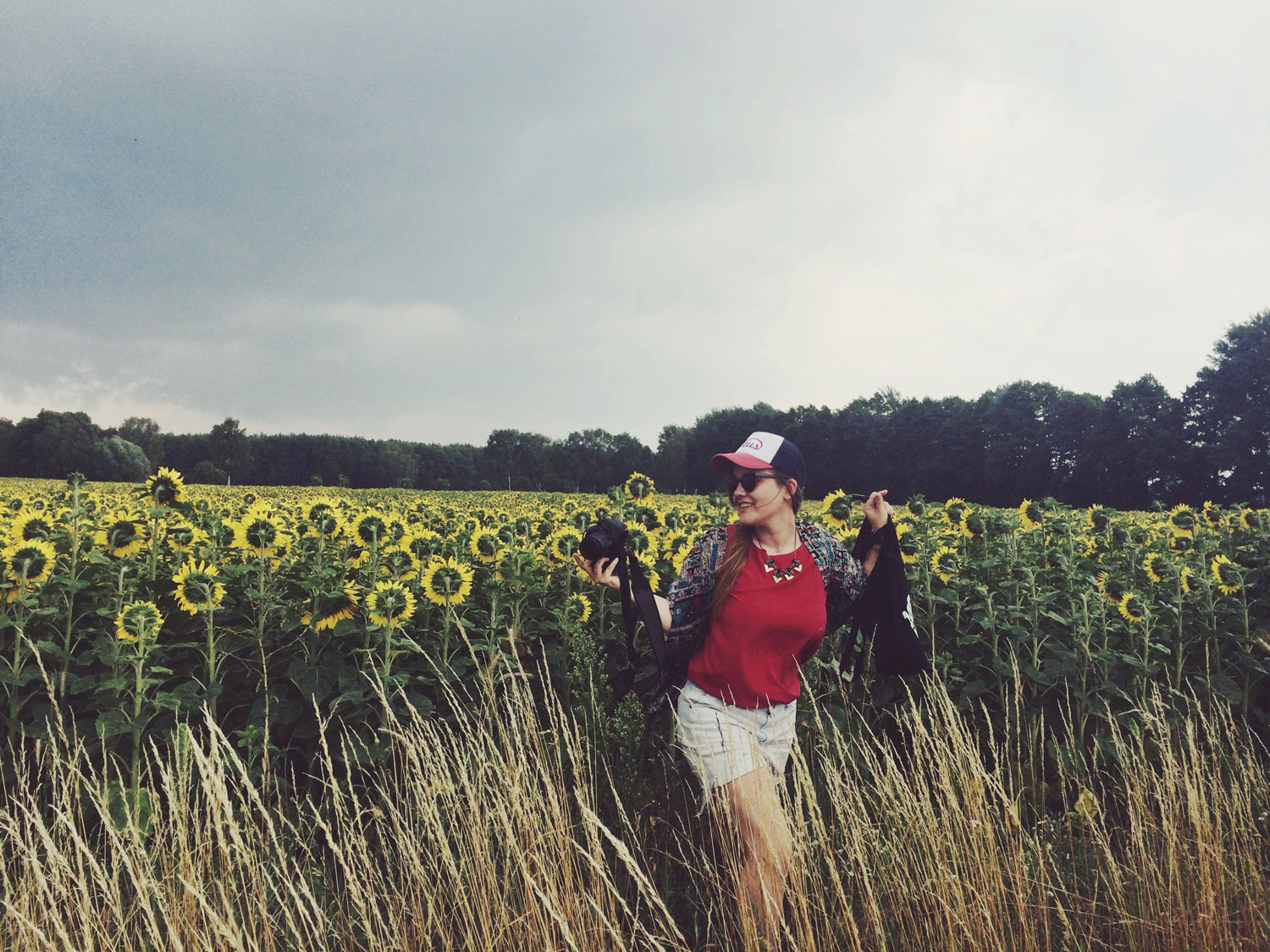 Sommer Bucket List Sonnenblumen Juli