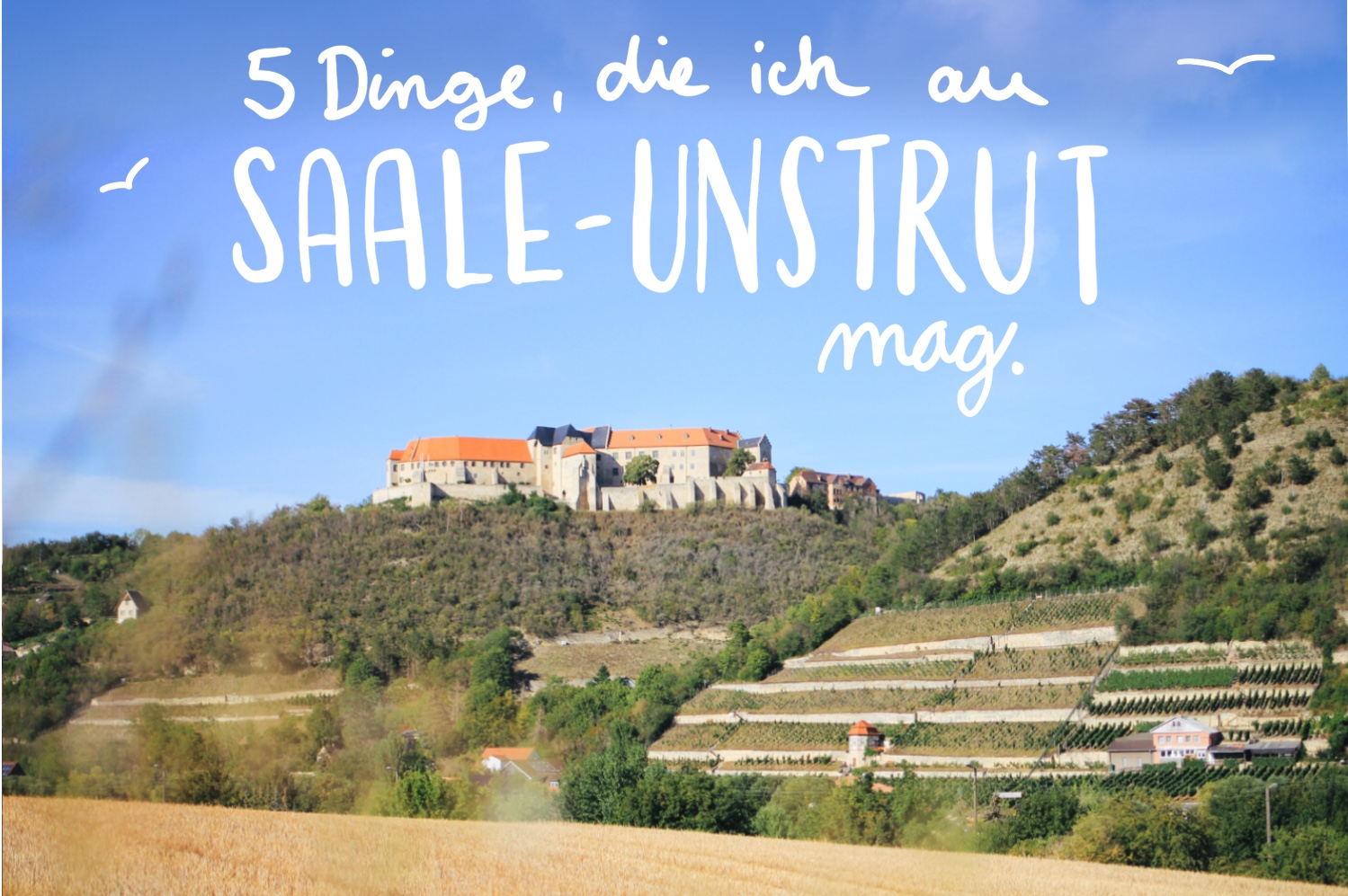 5 illustre Dinge, die ich an Saale-Unstrut mag