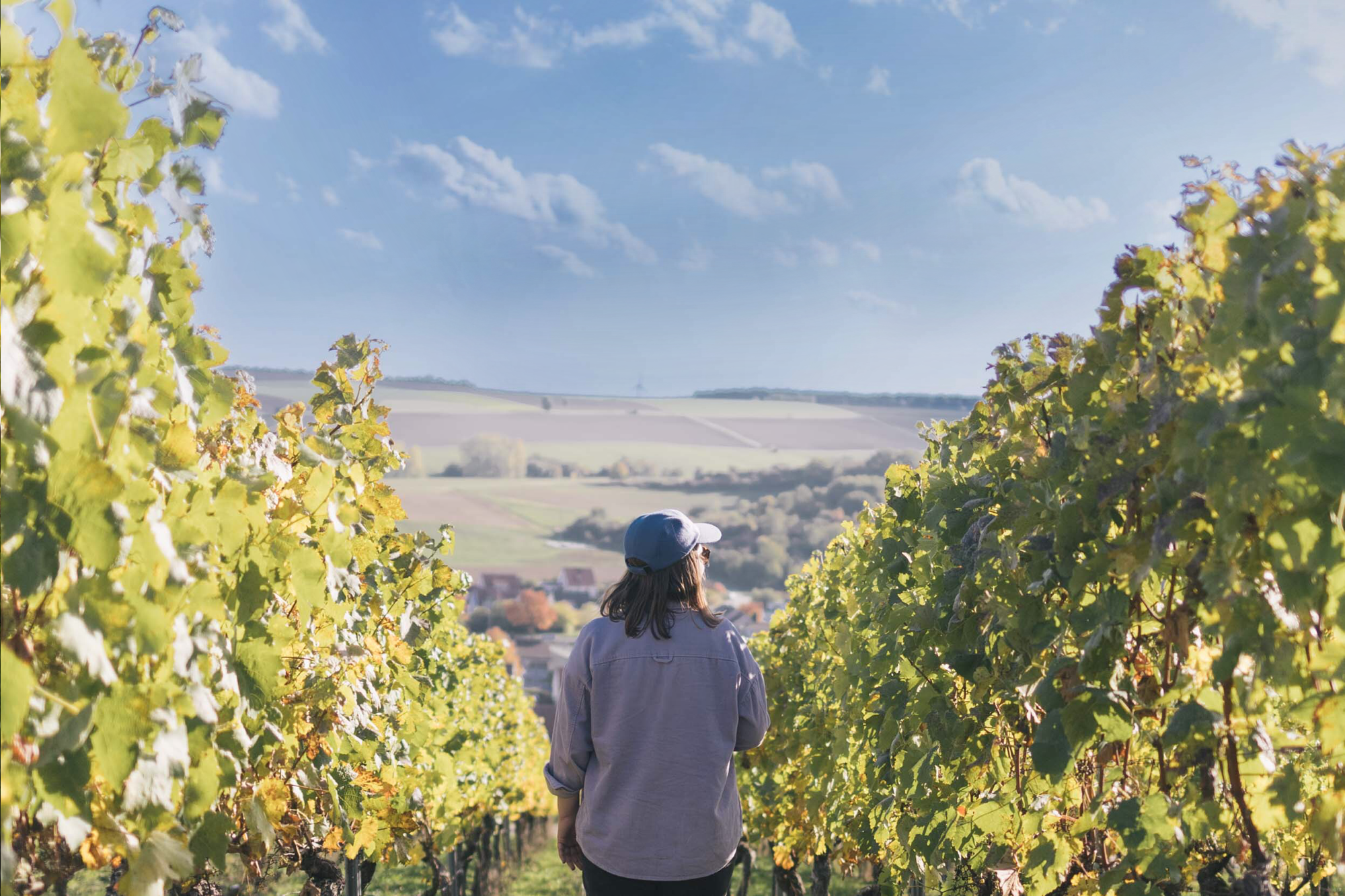 Alpakas, Weinberge und die Feuerwehr – Ein Wochenende im Oberen Werntal