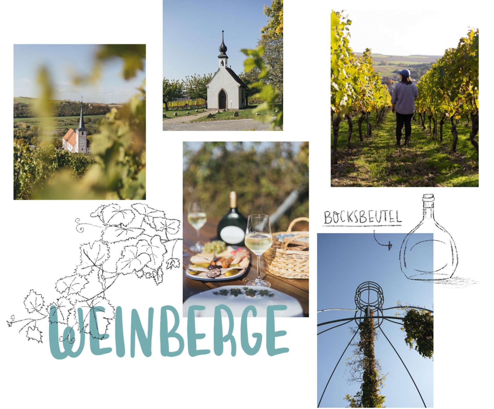 Ausflug in die Weinberge im Oberen Werntal mit Bocksbeutel Weinprobe und den schönsten Aussichten auf Franken