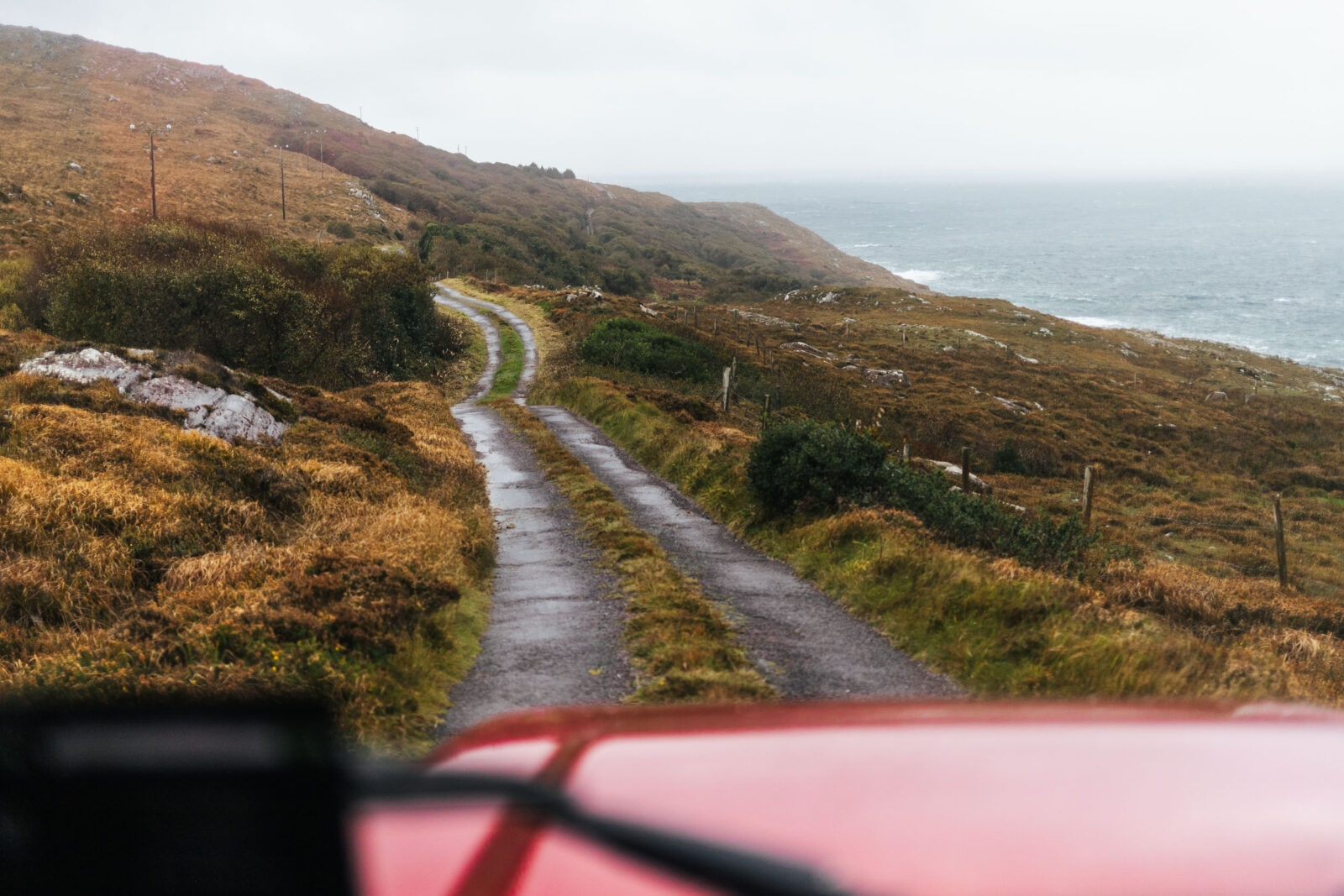 Irland Kurztrip West Cork Wild Atlantic Way Sheep's Head Wanderung Safari