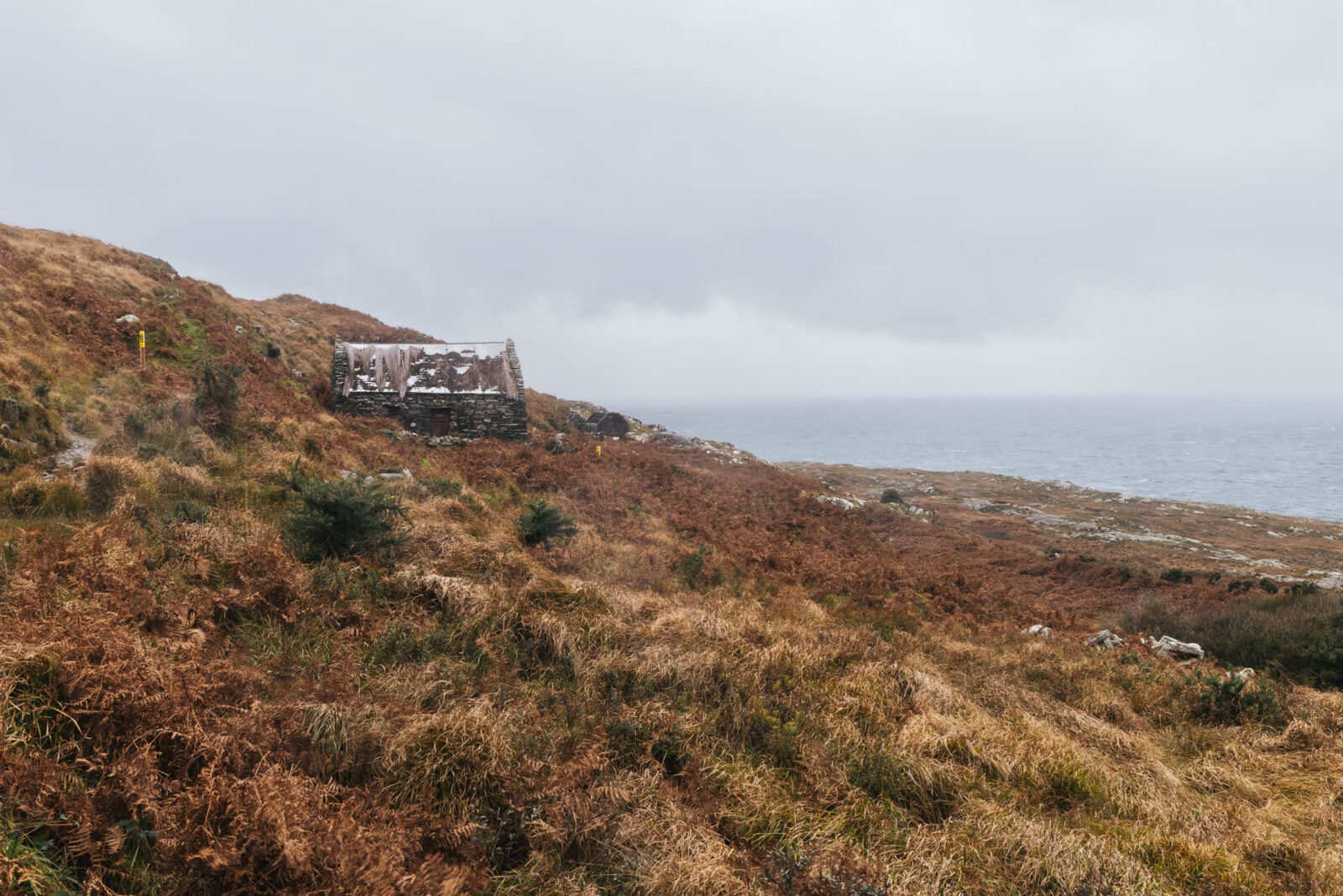 Irland Kurztrip West Cork Wild Atlantic Way Sheep's Head Wanderung Safari