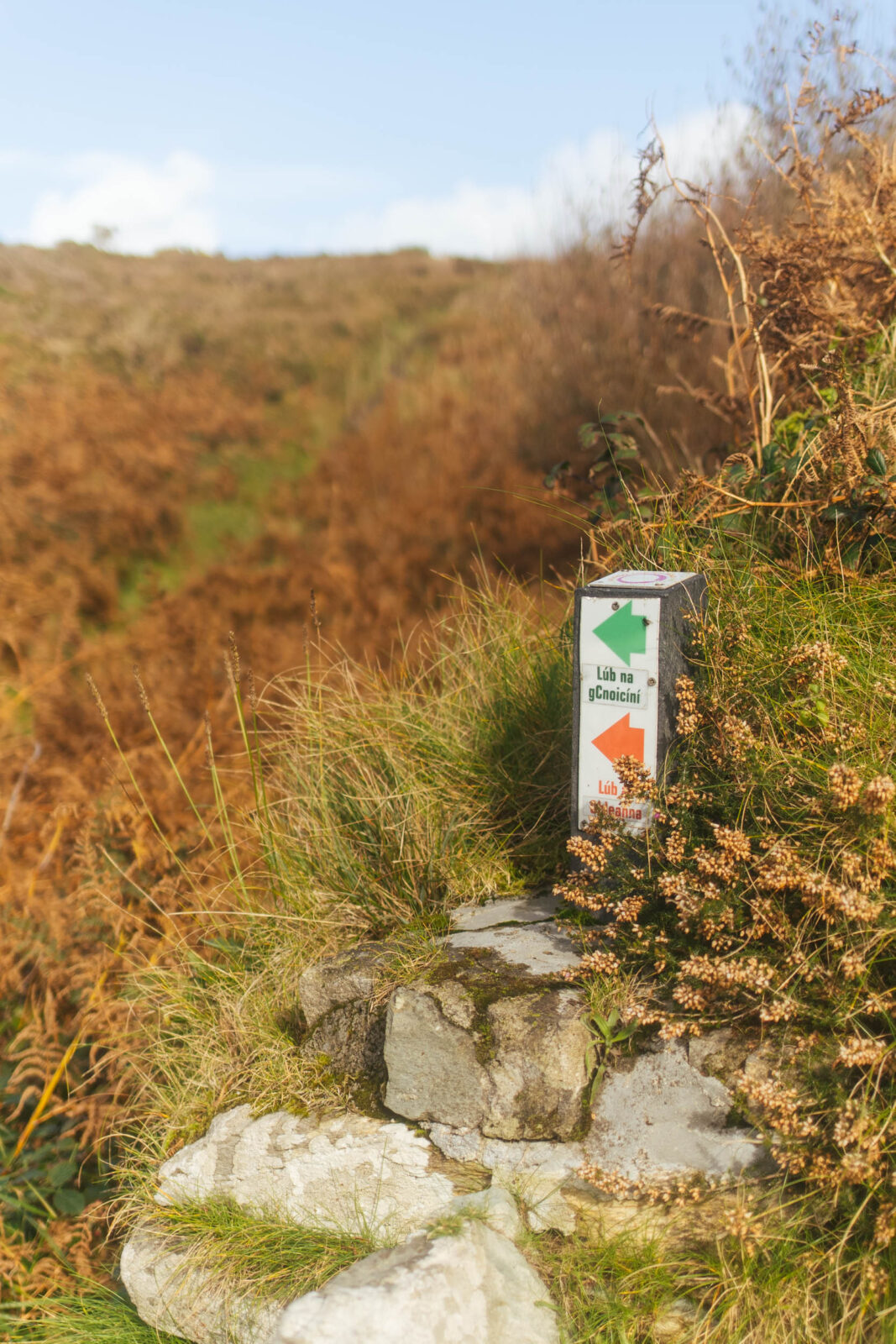 West Cork Cape Clear hiking routes Smaracuja