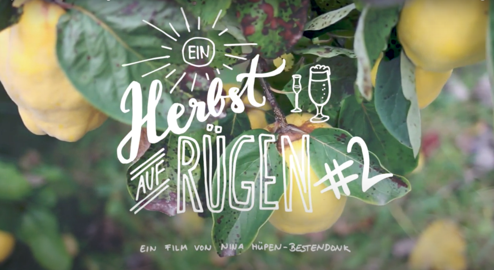 Bildschirmfoto 2020-06-11 um 13.55.19